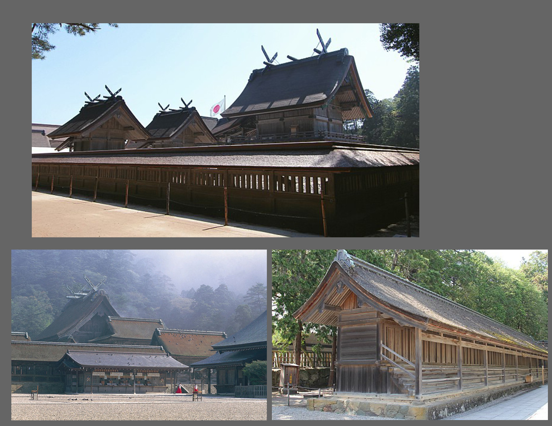 A reference board screenshot. Includes three pictures from Izumo Taisha Shrine.